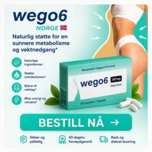 Wego6